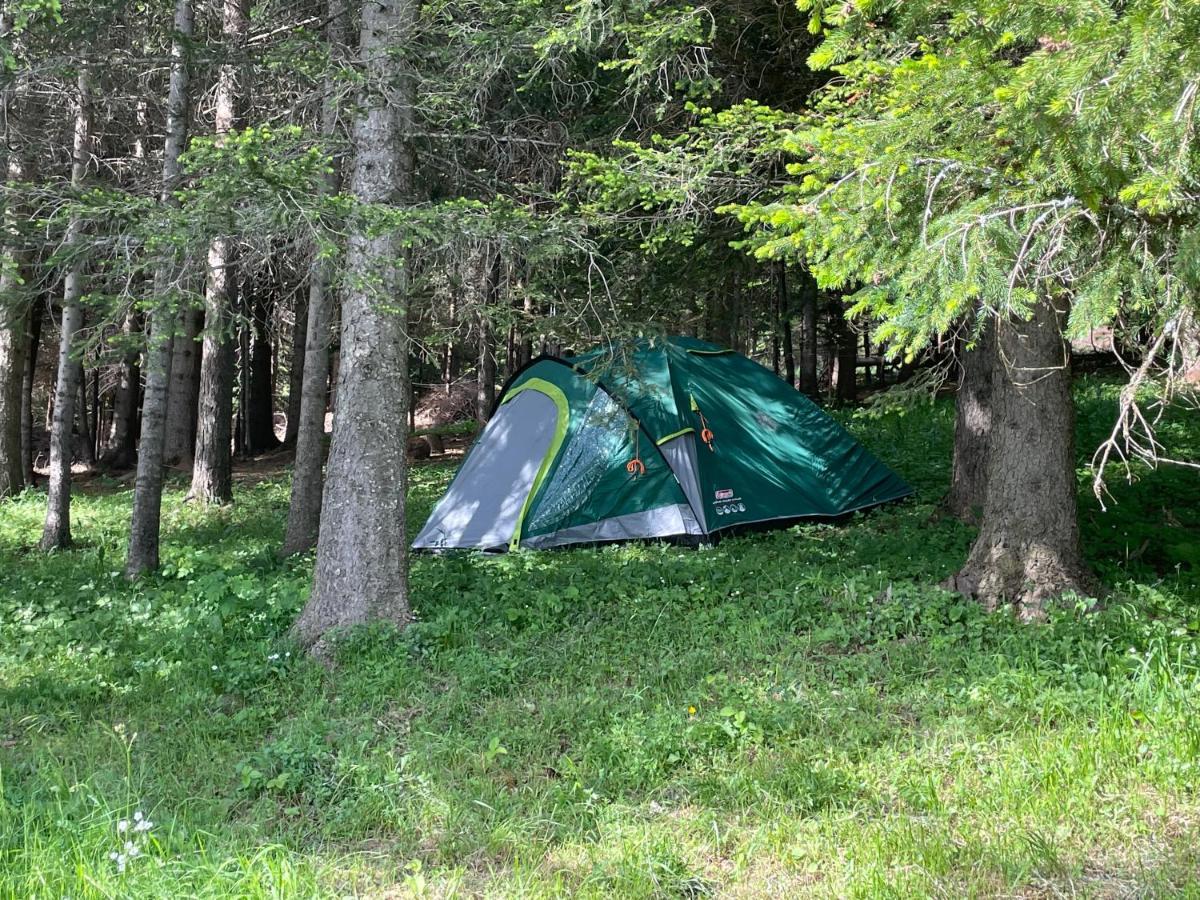 Durmitor Жабляк