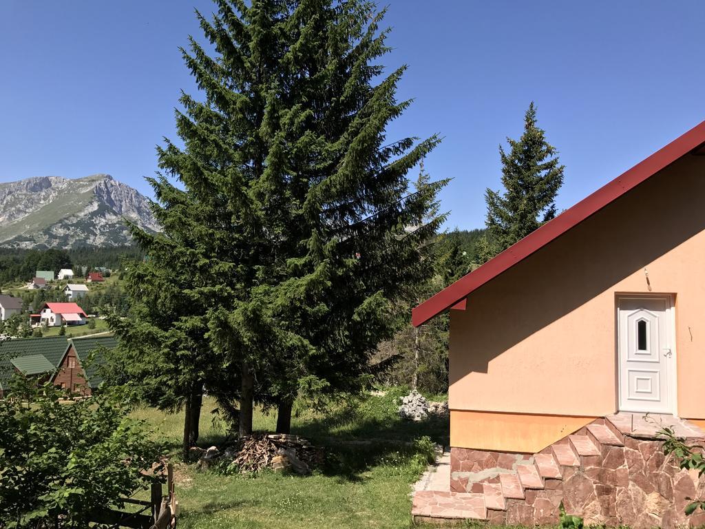 Durmitor *